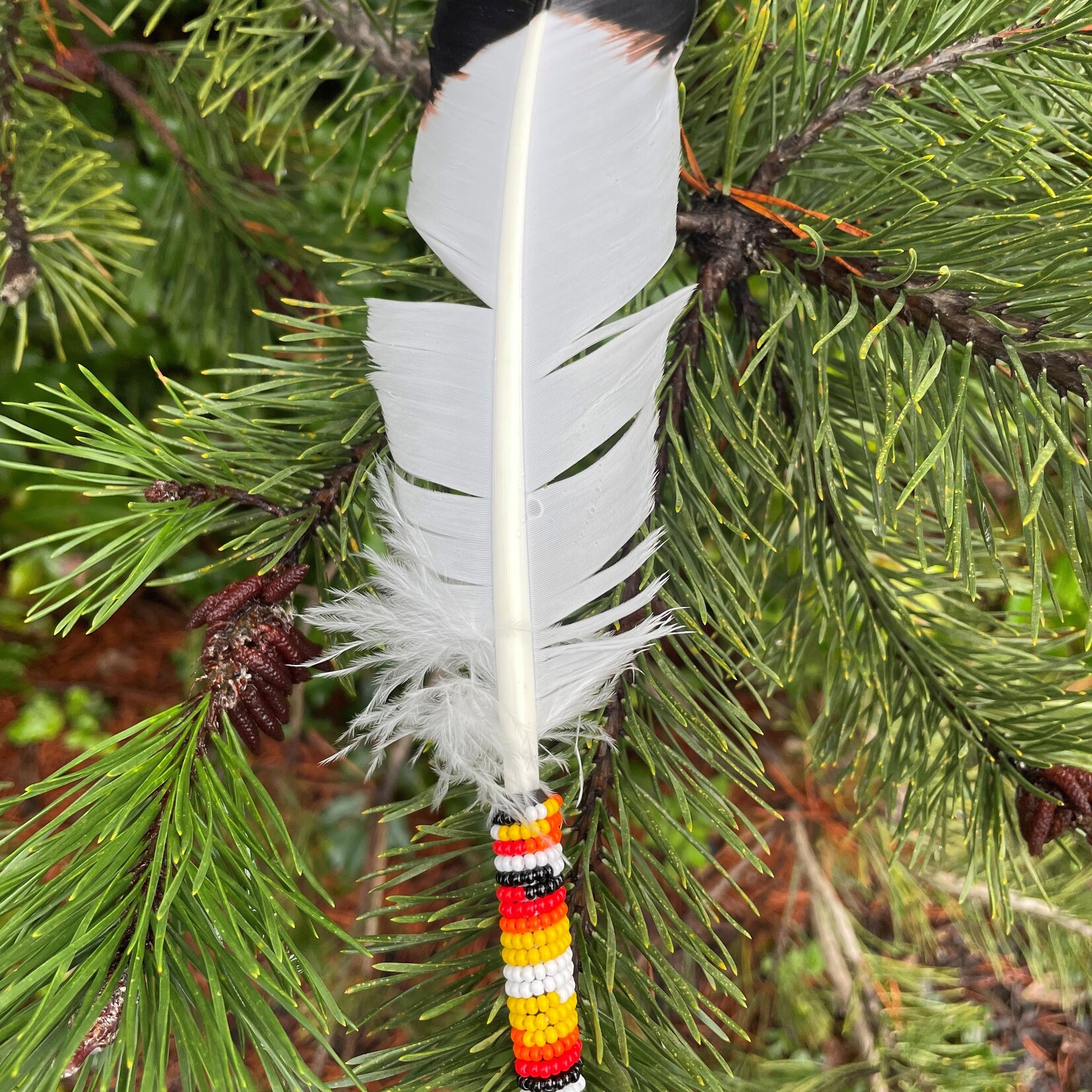 Sarah Ann Billy Sarah Ann Billy Beaded Faux Eagle Feather Medicine Wheel