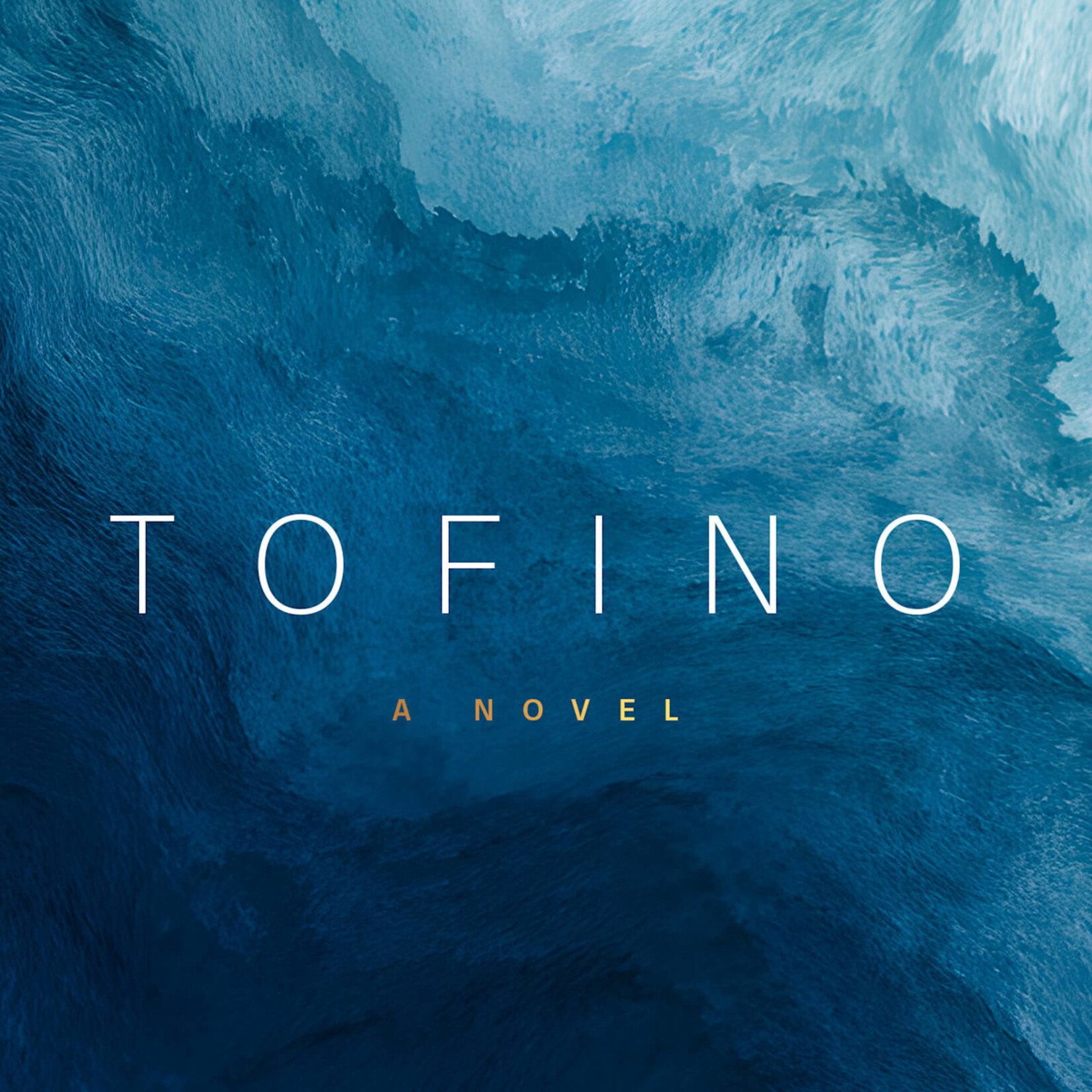 Tom Stewart Tofino: A Novel