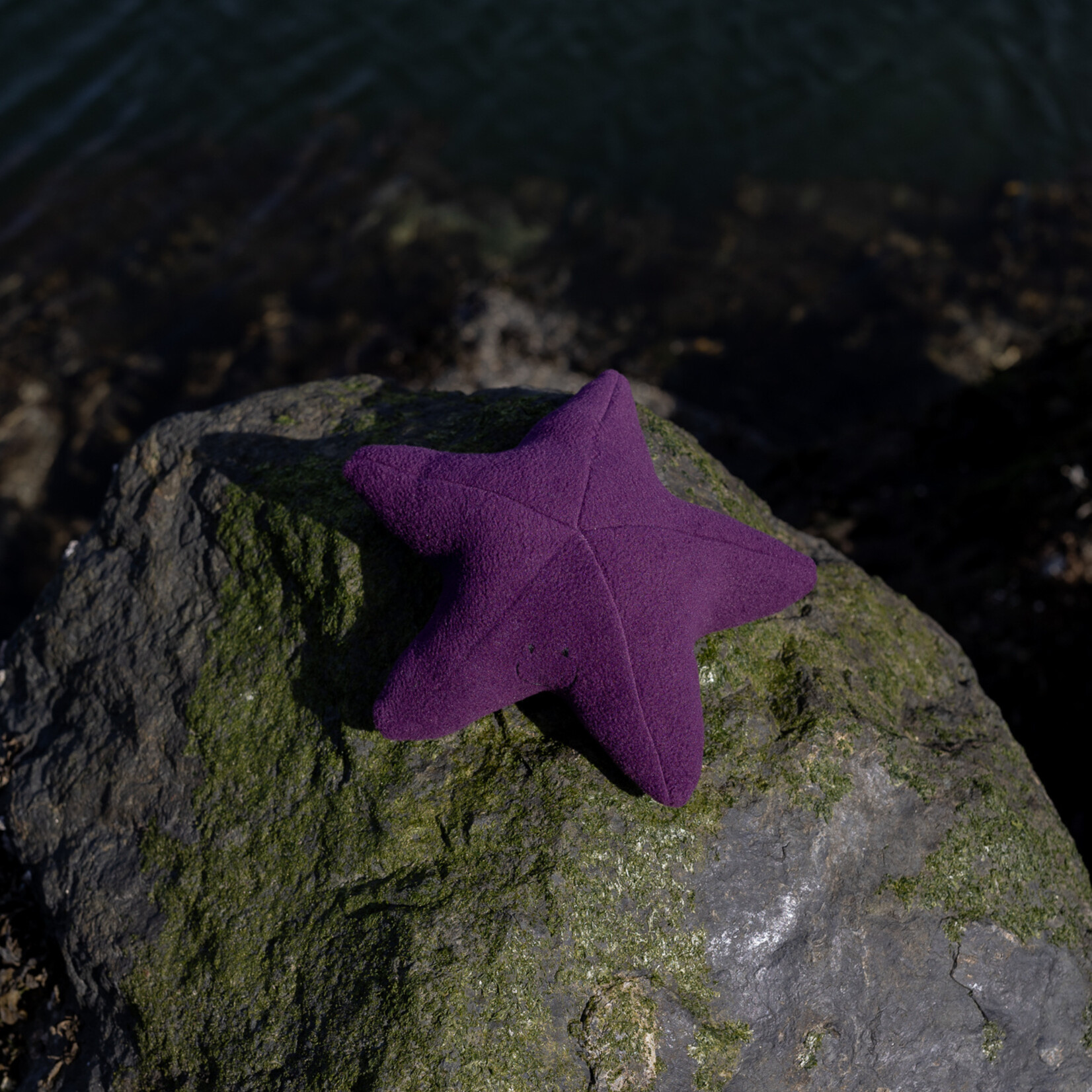 Sweet Peas kids krafts Starfish hand sewn stuffy