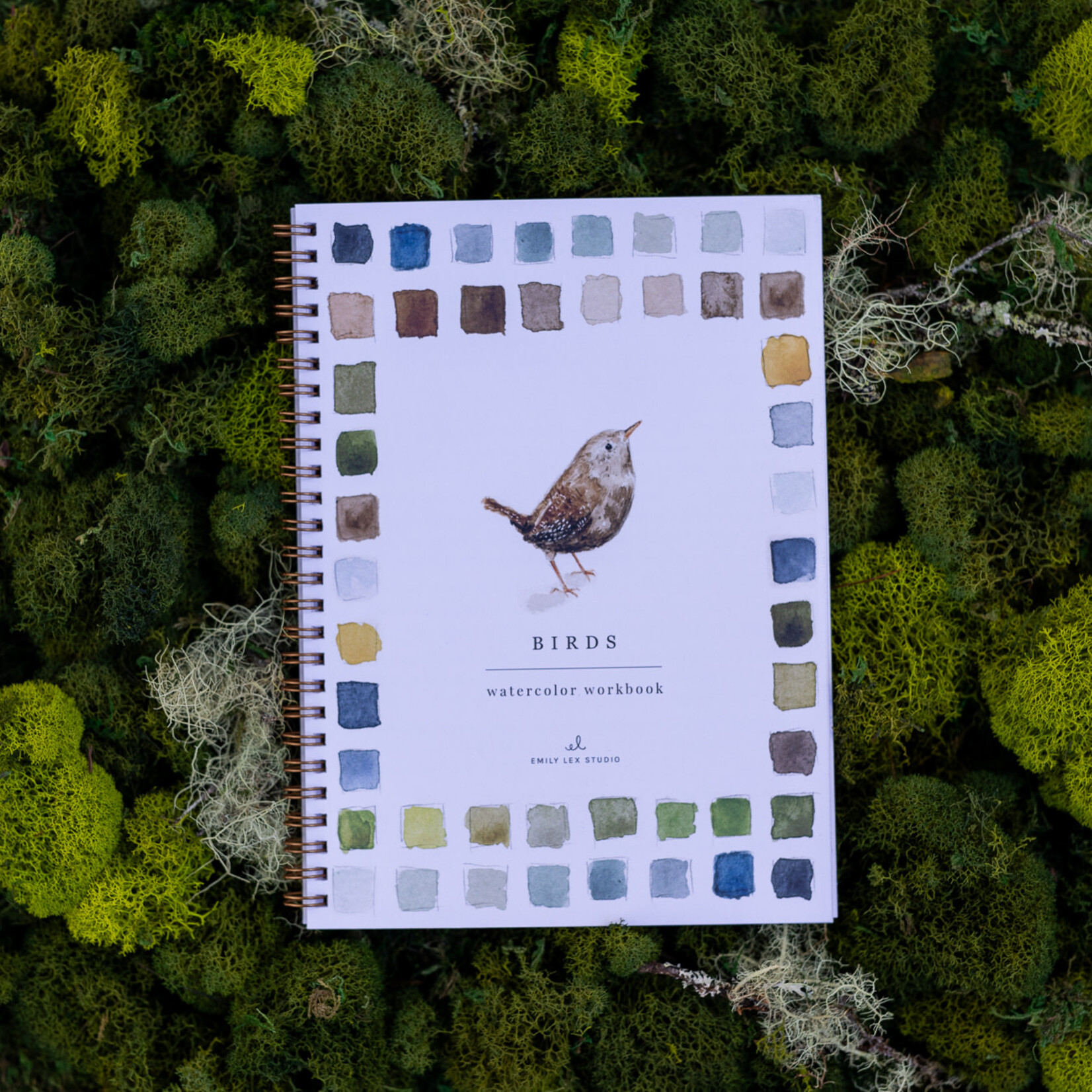 Emily Lex Studio birds watercolor workbook