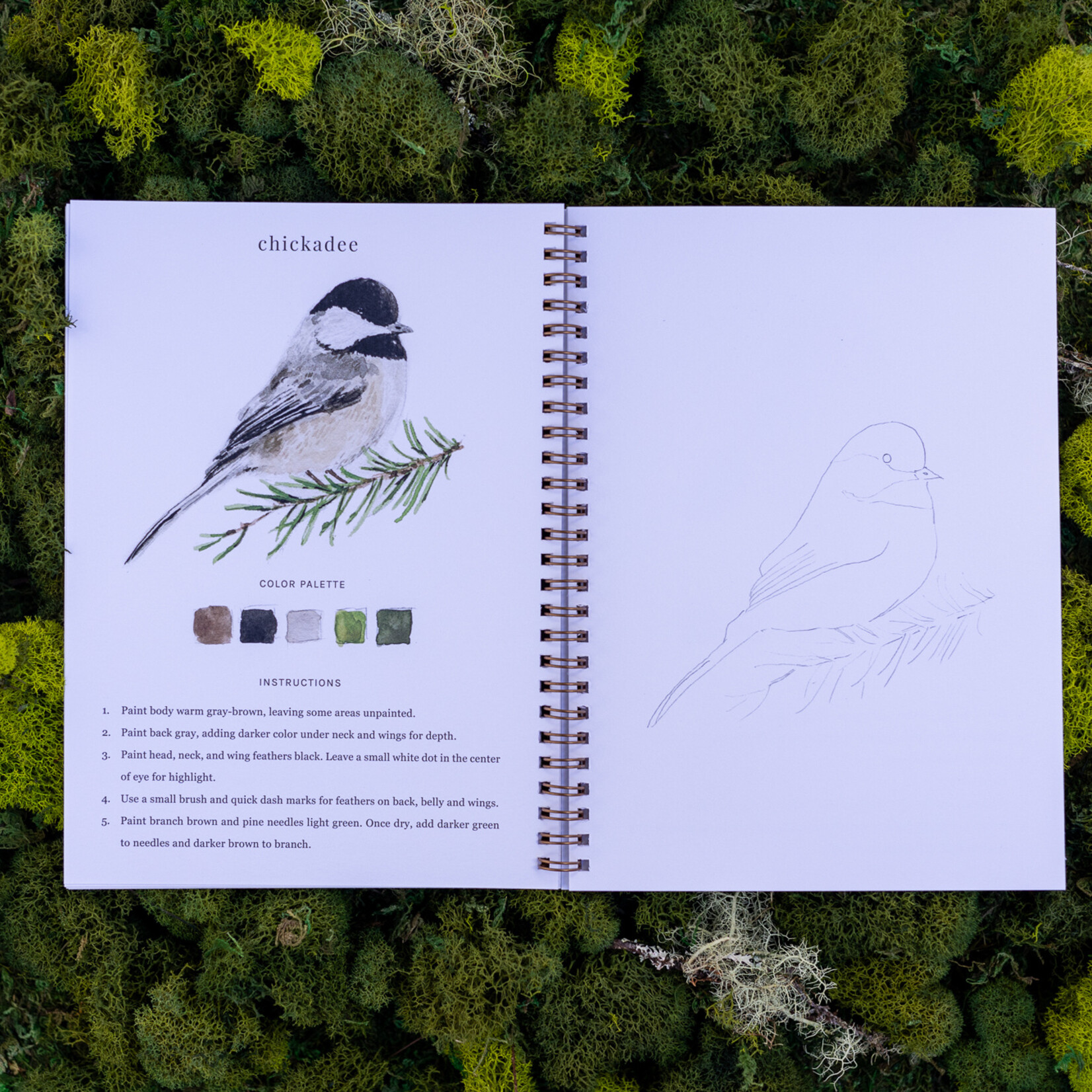Emily Lex Studio birds watercolor workbook