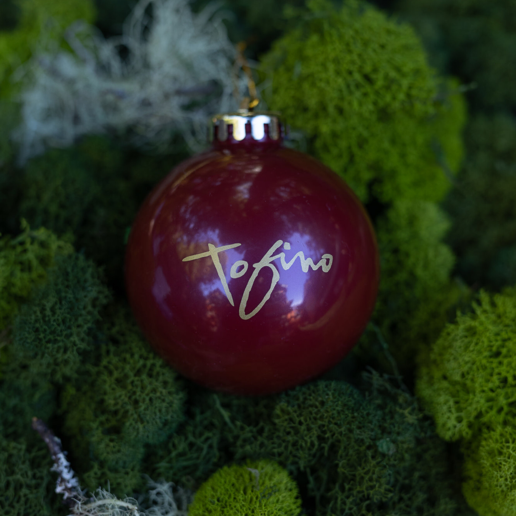 Tourism Tofino tofino tree ornament bulb