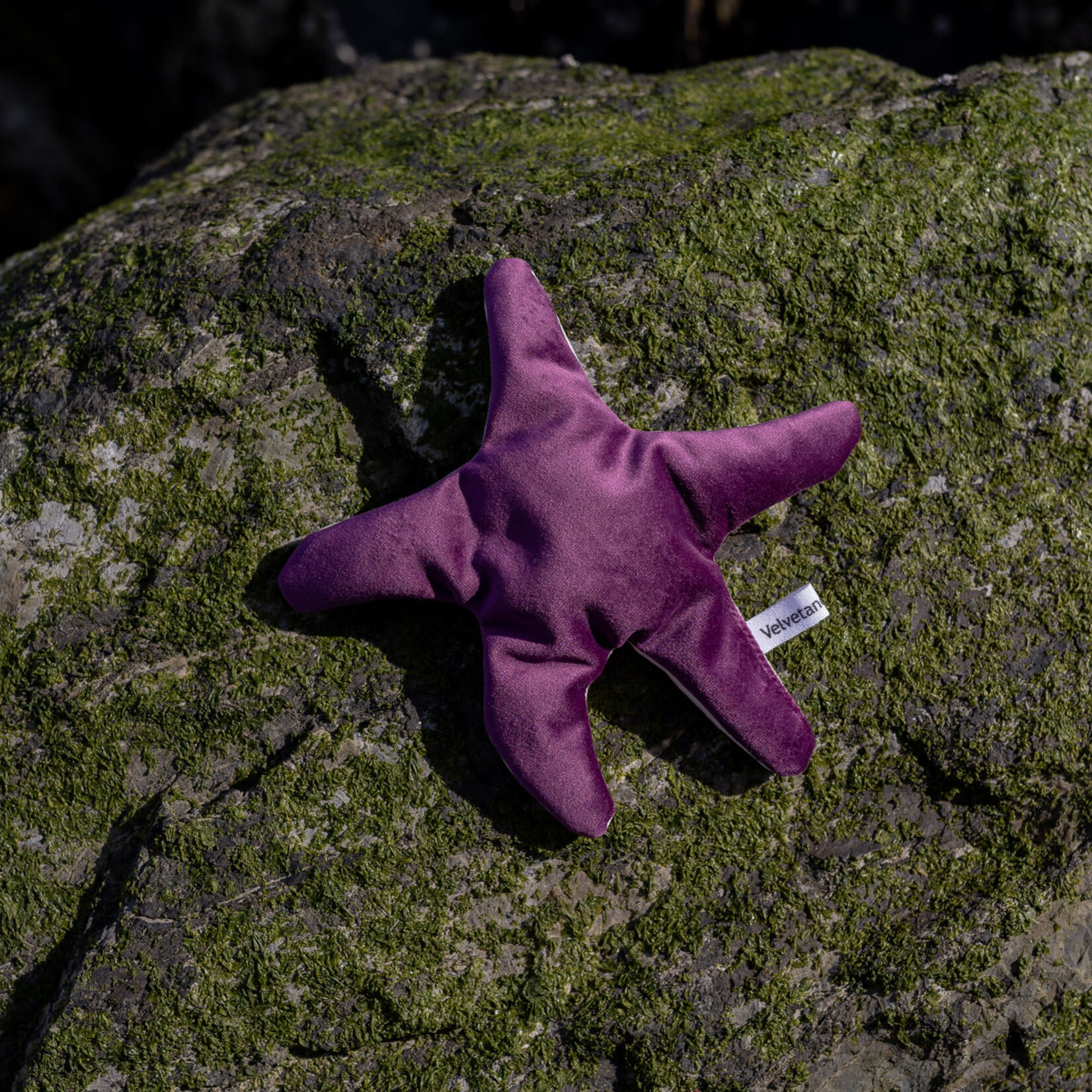 Hissing Mink Lavender Filled Velvet Sea Star