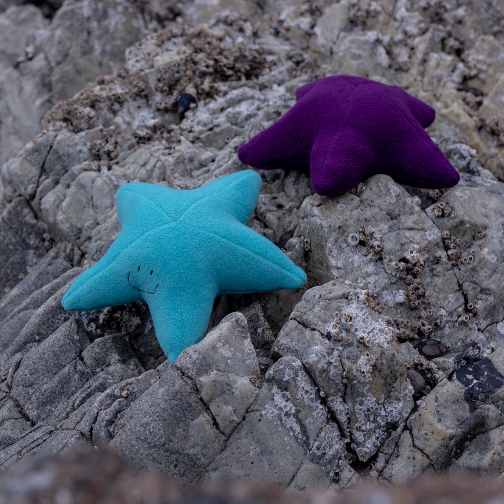 Sweet Peas kids krafts Starfish hand sewn stuffy
