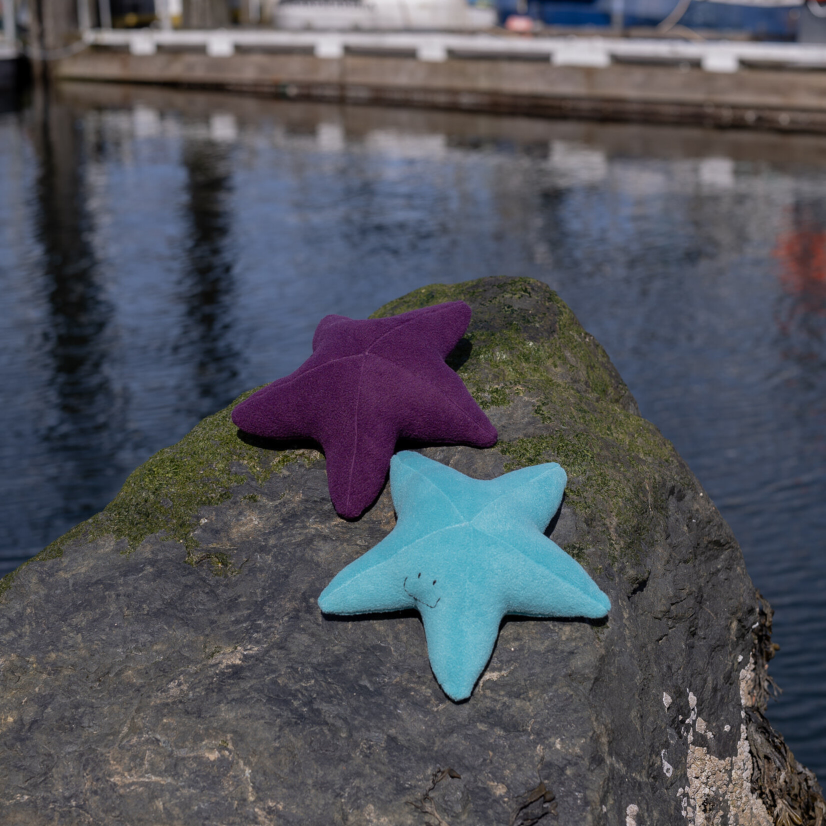 Sweet Peas kids krafts Starfish hand sewn stuffy