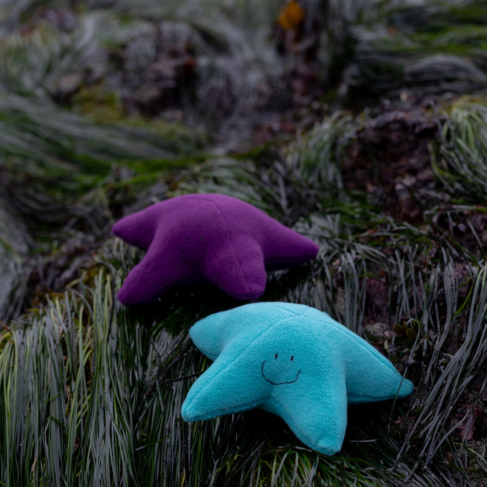 Sweet Peas kids krafts Starfish hand sewn stuffy