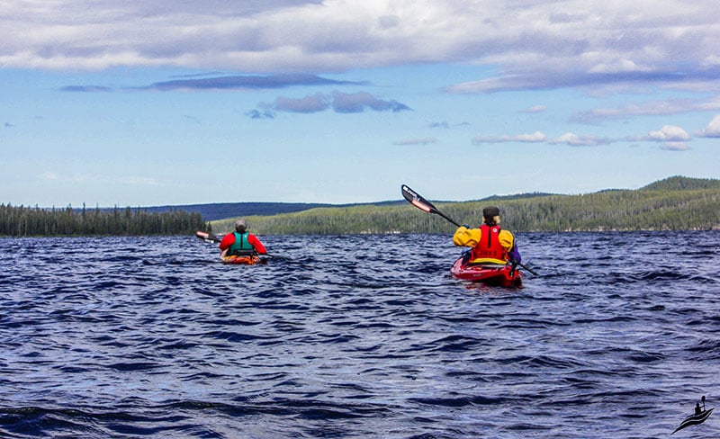 yellowsone kayaking