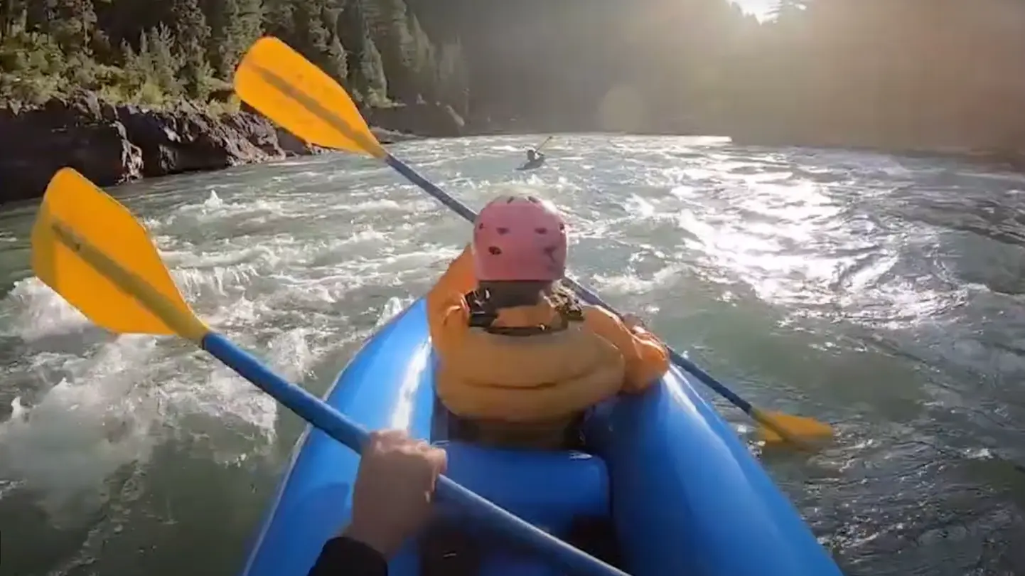 Book Your Ducky Day Adventure