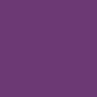Andover CENTURY SOLIDS - PLUM -  PER CM OR $16/M