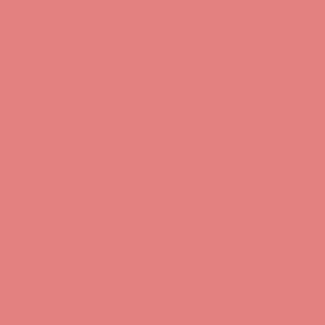 Andover CENTURY SOLIDS - DAWN -  PER CM OR $16/M