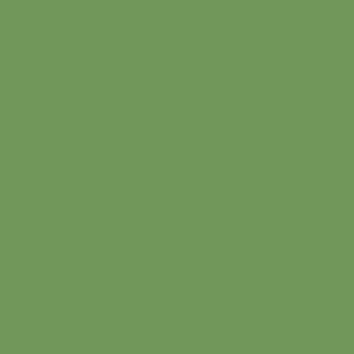 Andover CENTURY SOLIDS - PICKLE -  PER CM OR $16/M