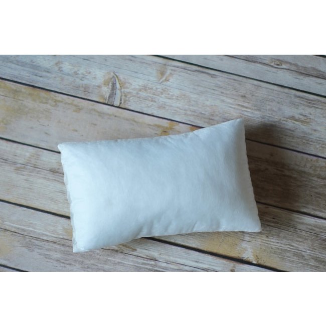 Pillow Insert, 9.5 x 5.5"