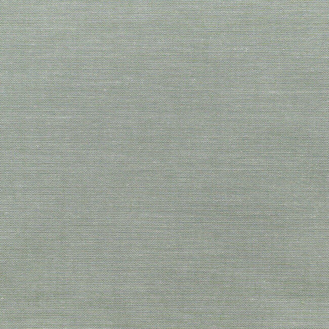 Chambray, Sage 160011 $0.24 per cm or $24/m