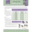 Migrating Geese - Technique Sheet