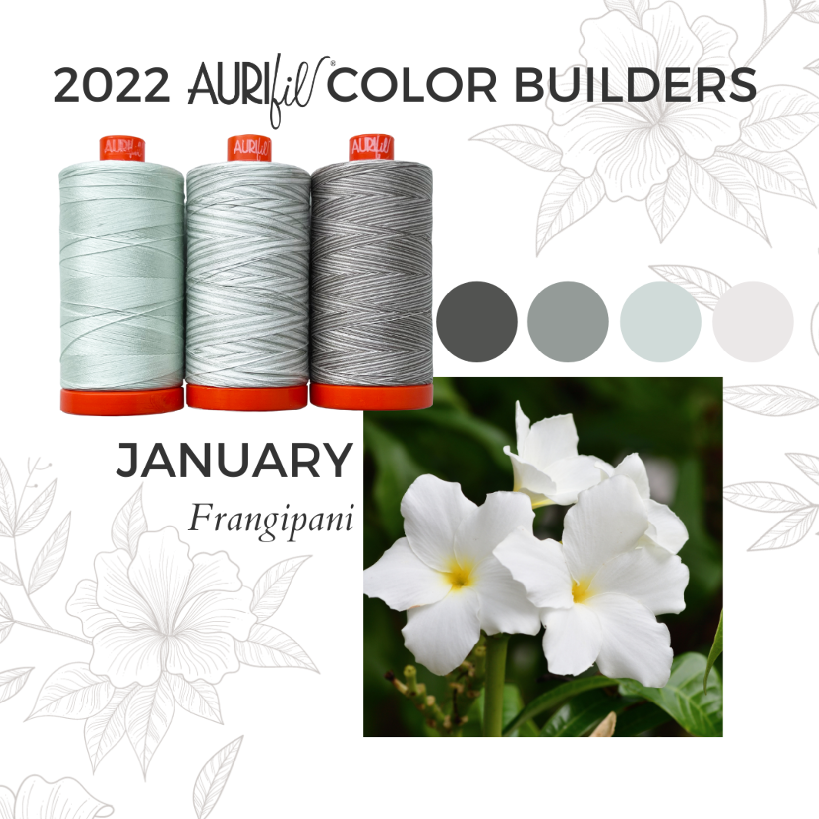 AURIFIL Aurifil 2022 Color Builders - January - Plumeria Pudica - Frangipani