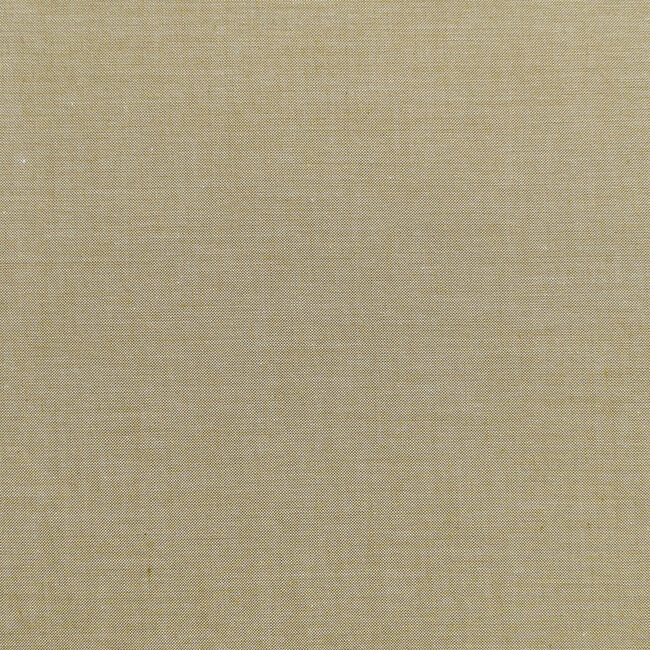 Chambray, Olive 160012 $0.24 per cm or $24/m