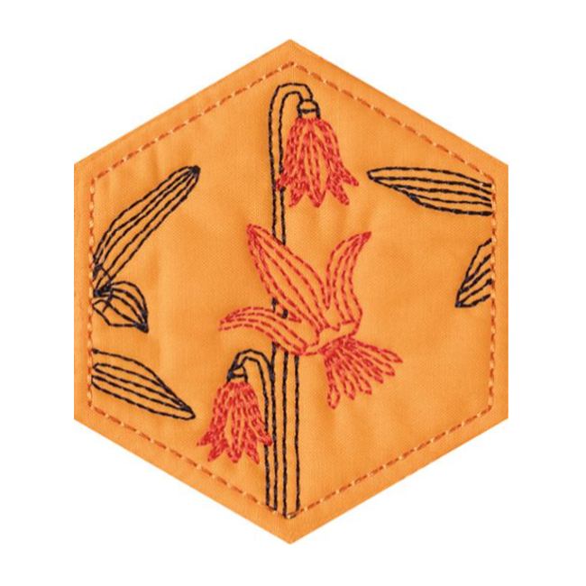 Anita Goodesign - Spring Hexagon Centrepiece Embroidery