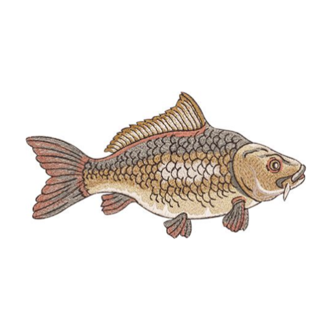 Catch of the Day Full Collection Hoop sizes 6” x 10” to 9.5” x 14”