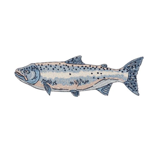 Catch of the Day Full Collection Hoop sizes 6” x 10” to 9.5” x 14”