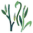 GO! Stems & Leaves