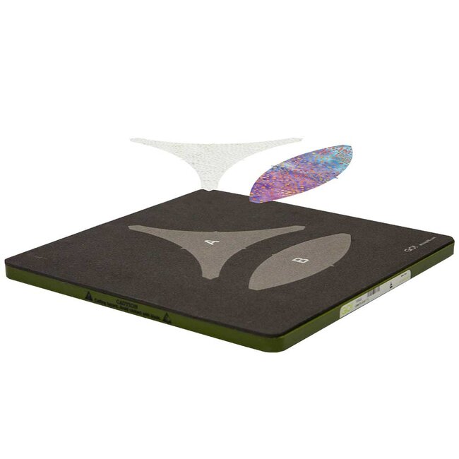 GO! Joseph's Coat-11" Finished