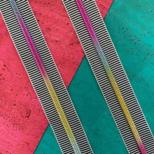 Black Stripe Zipper Tape with Rainbow teeth