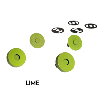 Sassafras Lane Magnetic Snaps - Lime