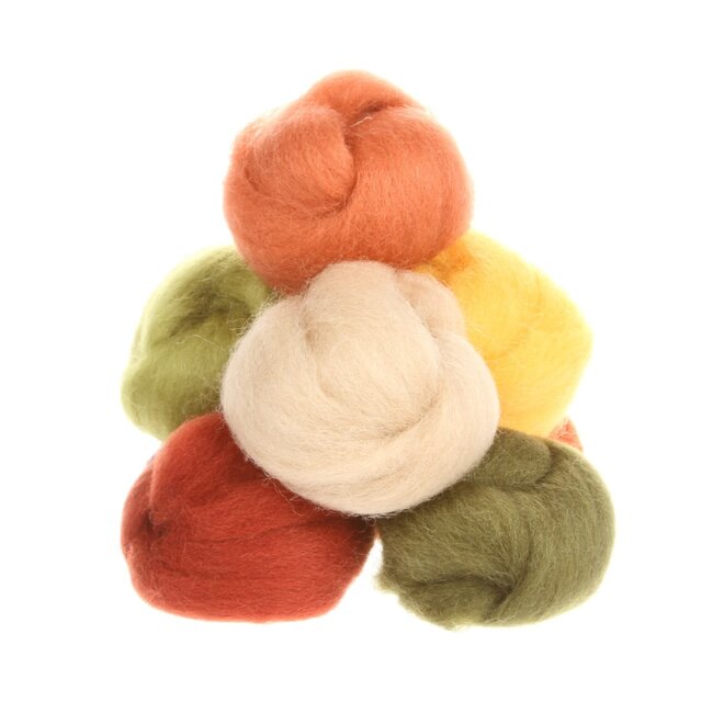 Wysteria Wool Roving Assortment - Autumn W891R