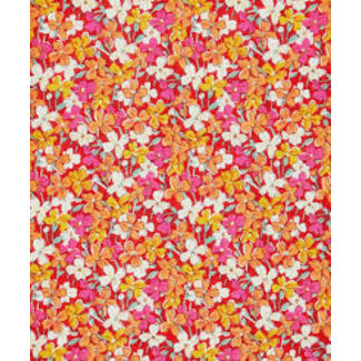 Liberty LIBERTY FABRIC - The Artist Home Carolyn Campbell $15/m