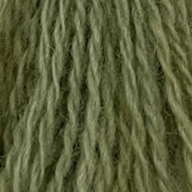 Wool Thread: H202 - Withered Green