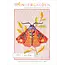 Wonder Garden No 1 - The Moth Pattern