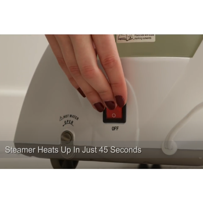 SteamWorks Pro Garment Steamer, Black