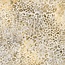 Serengeti Batiks, leopard, linen, 20197-156, $0.20 per cm or $20/m