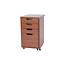 Kiwi Storage Cabinet