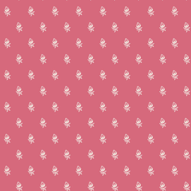 Jane Austen, C12822, Sonnet 116, $0.24/cm or $24/m