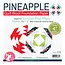 Pineapple Quilt Block Foundation Paper Piecing Pad, 42 sheets, 4in blocks