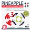 Pineapple Foundation Paper Piecing Pad, 42 blocks, 4in