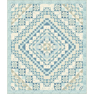 PRE ORDER - Buzzed Birds Quilt PRE ORDER - Buzzed Birds Quilt