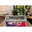 MOMENTO™ Getting Started Bundle