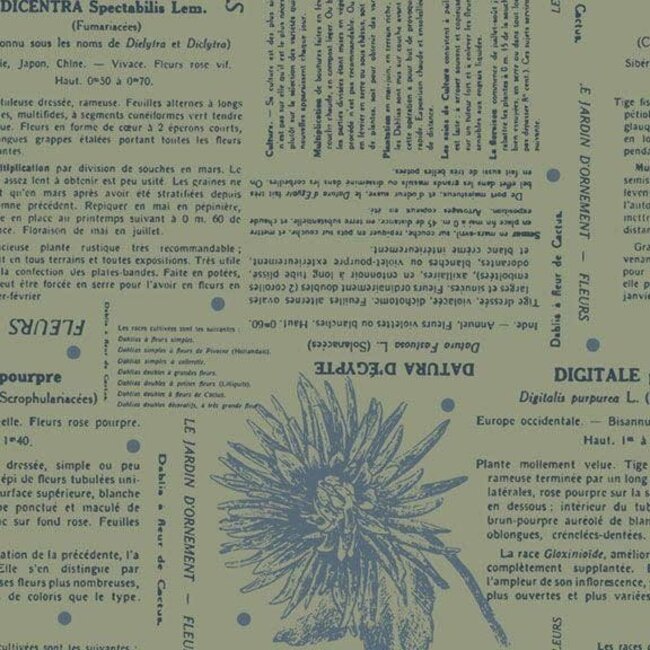 Neighbourhood Florist, Journal Page, Aqua, $0.20/cm or $20/m