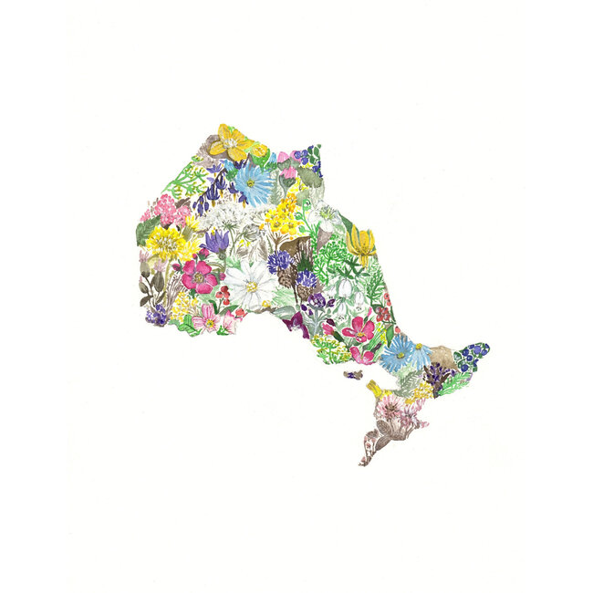 Quebec Wildflowers, Greeting Card