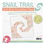 Snail Trail Quilt Block Foundation Paper Piecing Pad, 42 sheets, 4in blocks