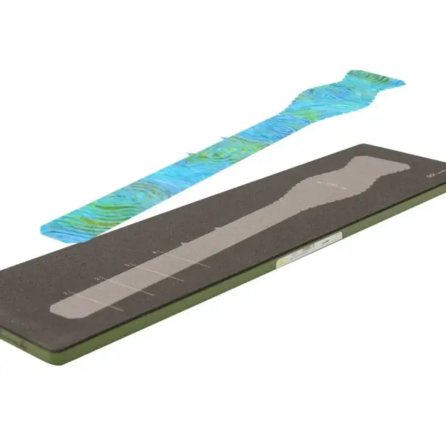 GO! Bow Tie by Chris Marchini