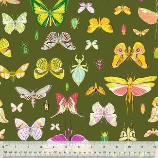 Windham Fabrics Tamara Kate's Insectarium, On Display, 54652-3 Olive, $0.24/cm or $24/m