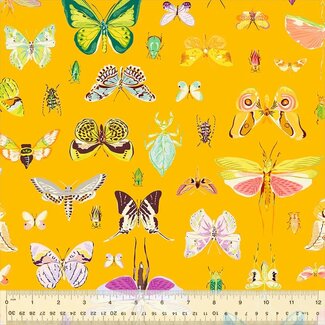 Windham Fabrics Tamara Kate's Insectarium, On Display, 54652-1 Amber, $0.24/cm or $24/m