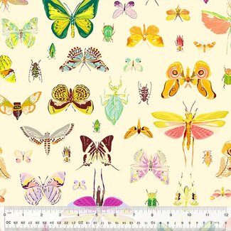 Windham Fabrics Tamara Kate's Insectarium, On Display, 54652-2 Light, $0.24/cm or $24/m