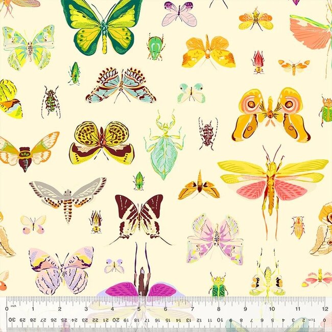 Tamara Kate's Insectarium, On Display, 54652-2 Light, $0.24/cm or $24/m