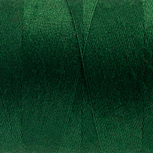 854-Designer, All Purpose Polyester, 1093yd (1000m) Green House