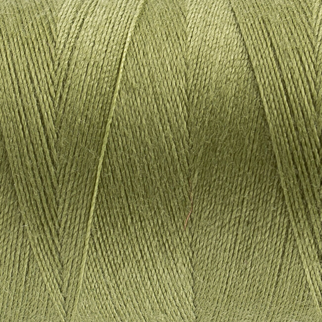 228-Designer, All Purpose Polyester, 1093yd (1000m) Wild Willow
