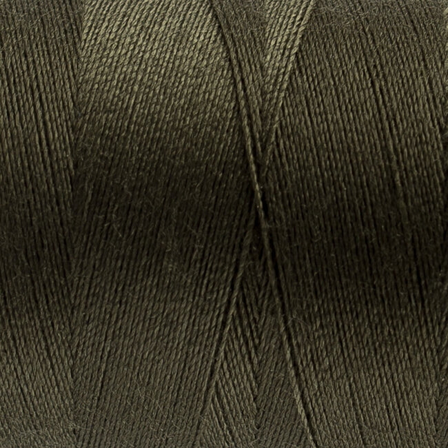 113-Designer, All Purpose Polyester, 1093yd (1000m) Tuttle Green